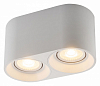 Накладной светильник Denkirs DK3040 DK3036-WH 100_100_1913087