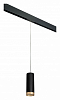 Подвесной светильник Lightstar Rullo PRORP48740 100_100_2460421