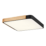 SLE201242-01 Светильник потолочный Черный, Светлое дерево/Белый LED 1*42W 3000K/4000K/6000K ФЕСТА 250_100_2954820