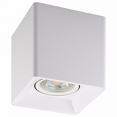 Накладной светильник Denkirs DK3030 DK3030-WH 400_400_2445169