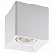 Накладной светильник Denkirs DK3030 DK3030-WH
