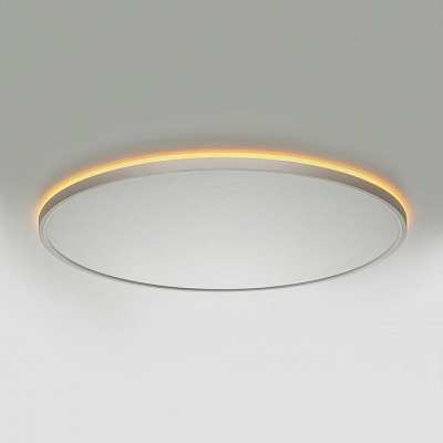 Накладной светильник Citilux NORMA CL749600 400_400_1694965