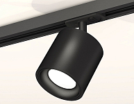 Светильник на штанге Ambrella Light XT XT7532001 250_100_2016094