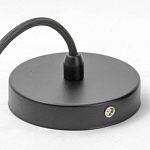 Подвесной светильник Lussole  Hauppauge GRLSP-9862 250_100_3152314