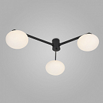 Потолочная люстра Eurosvet Opaline 70220/3 черный 250_100_Array