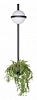 Бра Loft it Jardin 10121W/B 100_100_2255477