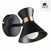 Спот Arte Lamp Baltimore A1406AP-1BK 100_100_1820982