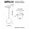 Подвесной светильник Citilux Адам Смарт CL228B011 100_100_1691364