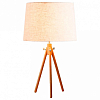 Настольная лампа декоративная Loft it Natural LOFT7112T 100_100_1844266