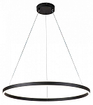Подвесной светильник Indigo Galass 14001/1P Black 250_100_1970298