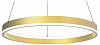 Подвесной светильник Lightstar Rotonda 736402 100_100_2460266