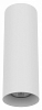 Накладной светильник Lightstar Rullo 216496 100_100_2448320
