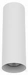Накладной светильник Lightstar Rullo 216496 250_100_Array