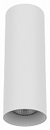 Накладной светильник Lightstar Rullo 216496 500_191_2448320