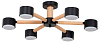 Потолочная люстра Arte Lamp TENDA A1624PL-6BK 100_100_3234080