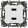 Розетка 2хUSB type A без рамки Эра Эра Elegance 14-4110-01 100_100_2400951