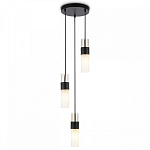 Подвесной светильник Ambrella Light LH LH55102 250_100_Array