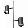 Торшер Citilux Twin CL809011N 100_100_1674496