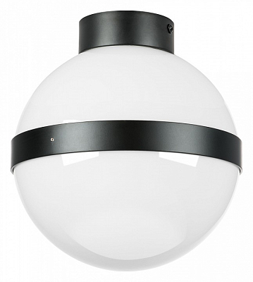 Накладной светильник Lightstar Globo 812117 400_400_3155808