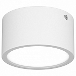 Накладной светильник Lightstar Zolla 211916 250_100_Array