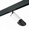 Светильник на штанге Lightstar Rullo PRO43637 100_100_2471113