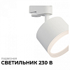 Светильник на штанге Apeyron Electrics  16-89 100_100_2383889