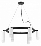 Подвесная люстра Lightstar Rullo LR0163638631 250_100_1718090