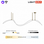 Светильник на штанге LIGHTERA Nyasa LE117L-150GB WIFI 250_100_2049768