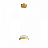 Подвесной светильник Odeon Light Roni 5036/12L 100_100_1728491