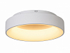 Накладной светильник MyFar Shannon MR2194-1PL 100_100_3156357