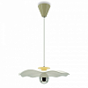 Подвесной светильник LIGHTERA Colorado LE101L-40Y 100_100_2048959