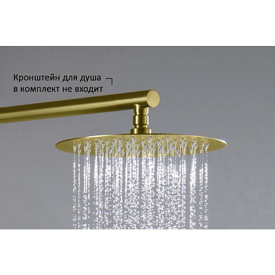 AQ2073BG круглый верхний душ 250*2 мм, шлиф. золото 400_400_2411265