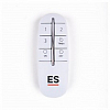 Контроллер с пультом ДУ Elektrostandard 16001 a056813 100_100_2241225