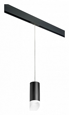 Подвесной светильник Lightstar Rullo PRORP648786 400_400_2460465