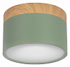 Накладной светильник Loft it Grape 10162 Green 100_100_3154363