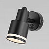 Бра Citilux Bruno CL565511 100_100_1675295