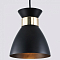 Подвесной светильник Ambrella Light TR TR8468