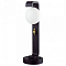 Наземный низкий светильник Odeon Light NATURE 5434/1F
