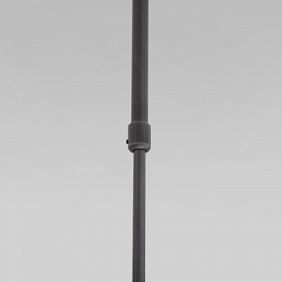 Светильник на штанге Eurosvet Pacific 50255/1 титан 400_400_3151180