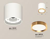 Накладной светильник Ambrella Light XS XS8141004 250_100_2012880