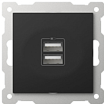 Розетка 2хUSB type A без рамки Elbi Eleсtriс Zena Vega 609-014800-143 250_100_2195777