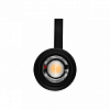 Светильник на штанге Lightstar Canno Pro 304127 100_100_1389084