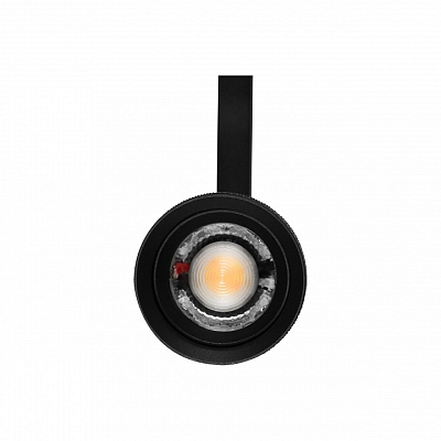 Светильник на штанге Lightstar Canno Pro 304127 400_400_1389084