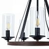Подвесная люстра Arte Lamp Dalim A7014SP-5BK 100_100_1823127