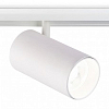 Светильник на штанге Ambrella Light GL GL3845 100_100_2288853
