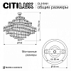 Подвесная люстра Citilux Naiad CL315191 100_100_1694672