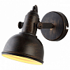 Спот Arte Lamp Martin A5213AP-1BR 100_100_1821960