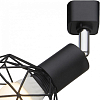 Спот Arte Lamp Sospiro A6141PL-1BK 100_100_1821419