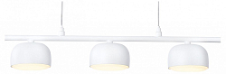 Подвесной светильник Ambrella Light TN TN71032 250_100_Array