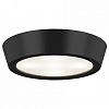 Накладной светильник Lightstar Urbano mini 214774 100_100_2448533